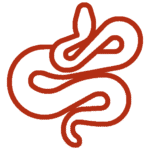 Lutte-contre-les-serpents-Marrakech