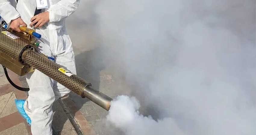 Lutte-contre-mouches-Marrakech8